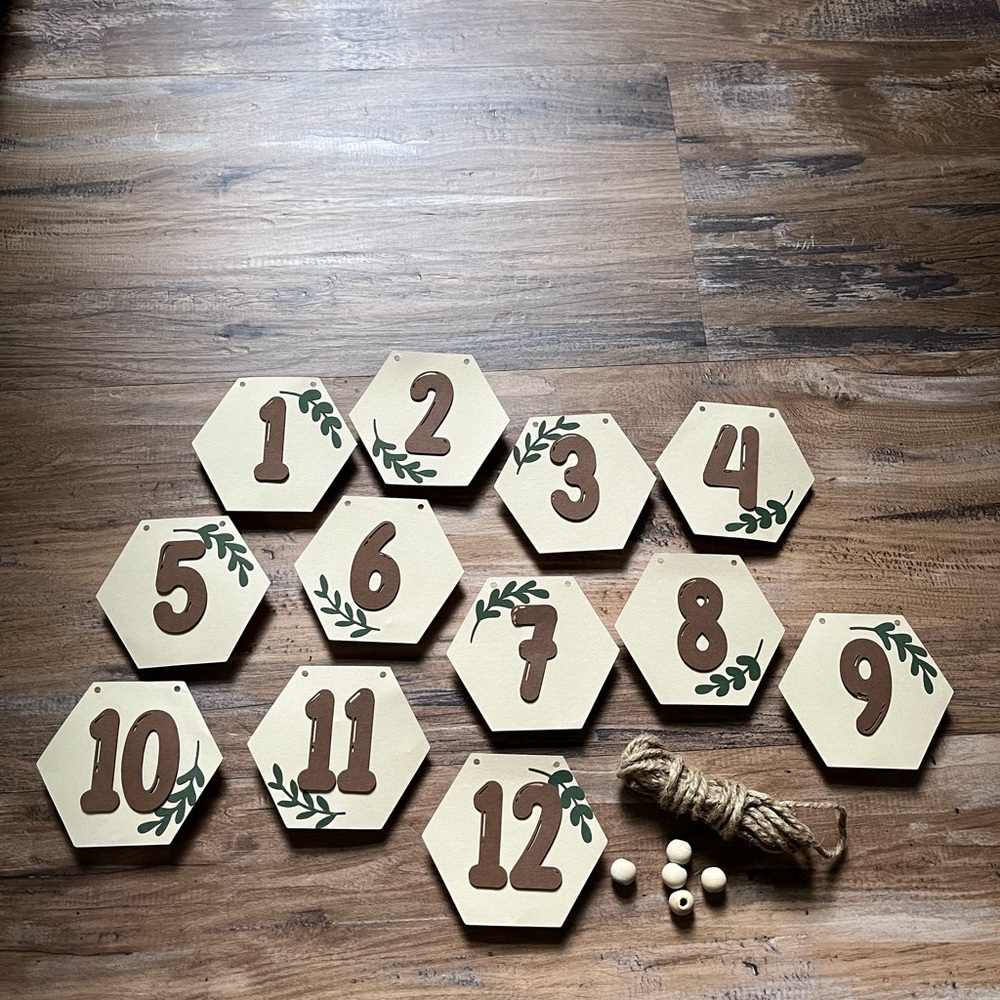 1st Birthday Banner- Monthly Milestones